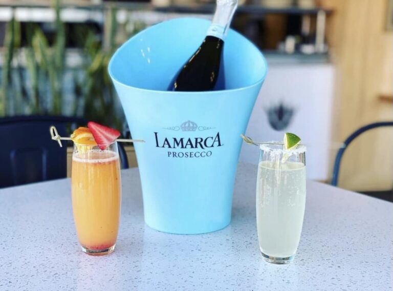 353005383 300514382309988 5723709646637368763 n 768x568